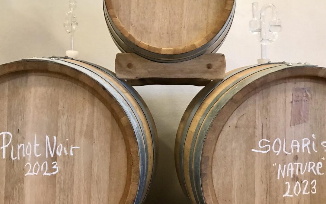 Følsom vin kræver solafskærmning